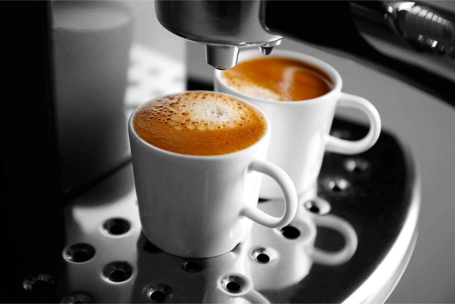 Průvodce přípravy kávy: Jaké jsou druhy kávy a způsoby přípravy?