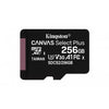 MicroSD 256 GB