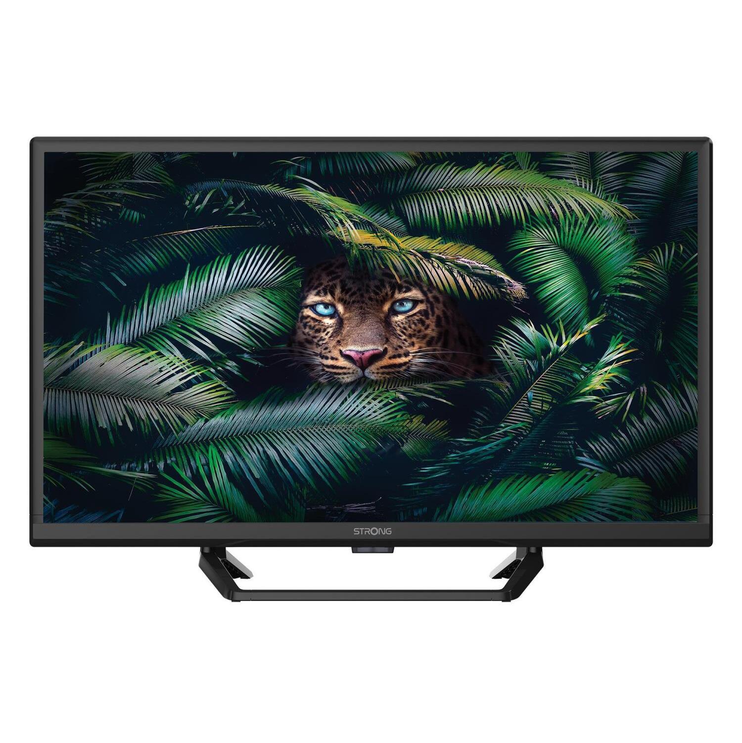 Televize Strong SRT24HE4023C / 24" (60 cm)