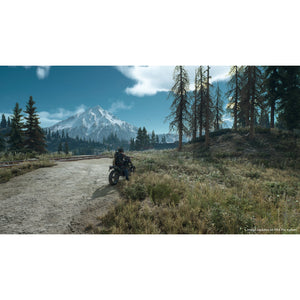 Days Gone (PS719796718)