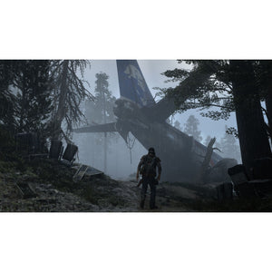Days Gone (PS719796718)