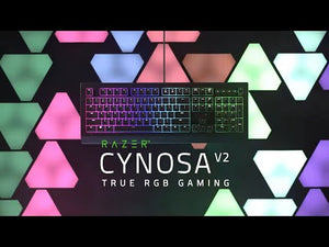 Klávesnice Razer Cynosa V2 (RZ03-03400100-R3M1)