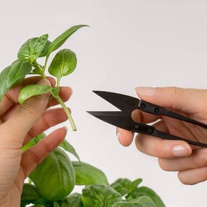 Mini nůžky na údržbu rostlin Véritable, karbonové