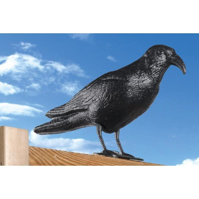 Odpuzovač holubů Toro Havran, 40x13x20cm