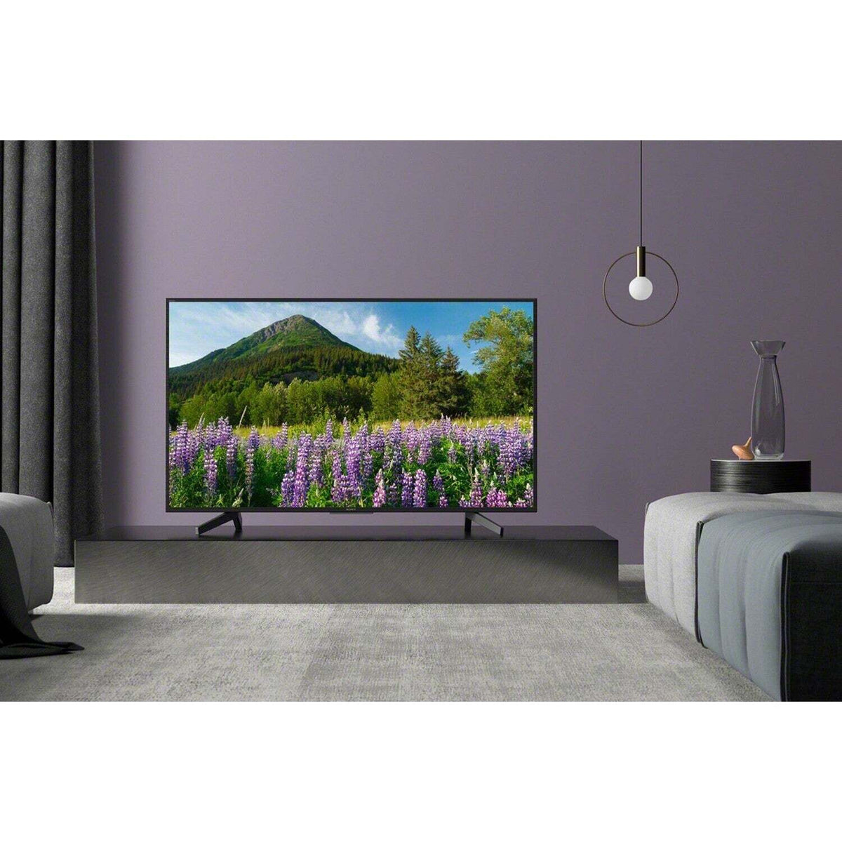 Smart televize Sony Bravia KD65XF7096 (2018) / 65&quot; (164 cm)
