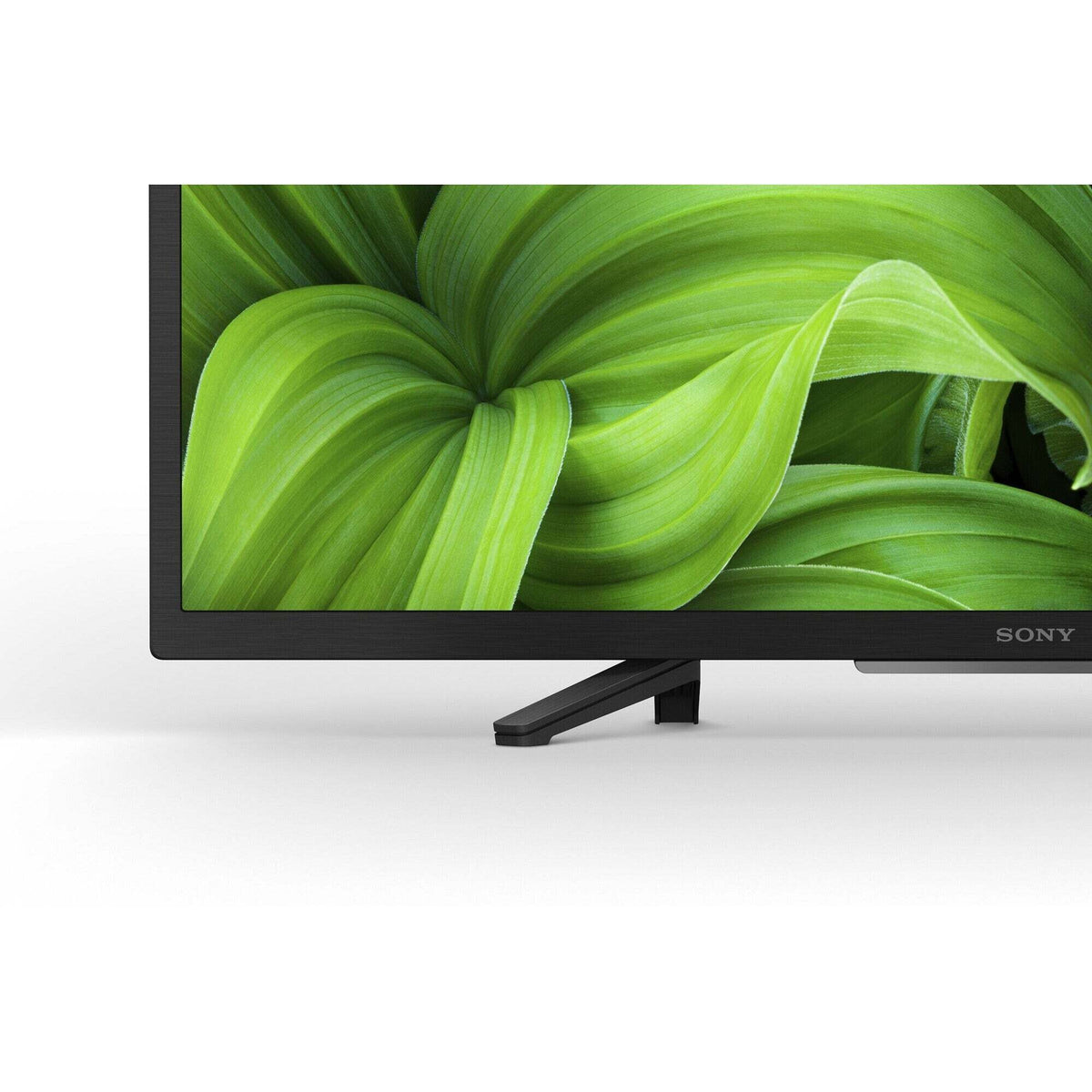 Smart televize Sony KD-32W800 (2021) / 32&quot; (80 cm)