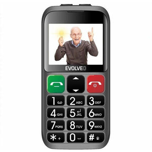 Tlačítkový telefon pro seniory Evolveo EasyPhone EB, stříbrná