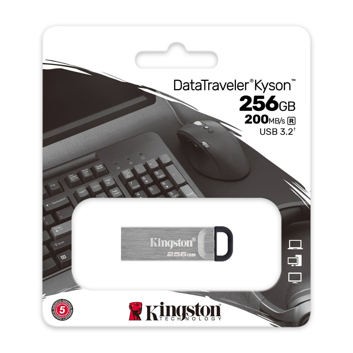 USB flash disk 256GB Kingston DT Kyson, 3.2 (DTKN/256GB)