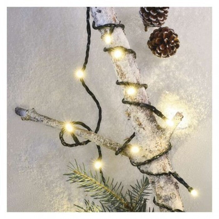 Vánoční osvětlení Emos D4GW01, teplá bílá, 2,5m