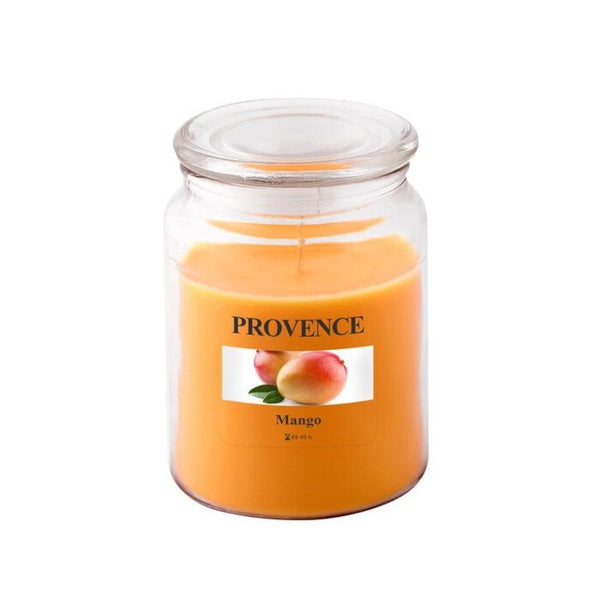 Levně Vonná svíčka ve skle Provence Mango, 510g